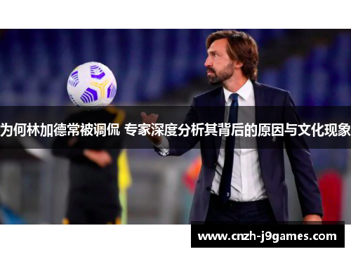 为何林加德常被调侃 专家深度分析其背后的原因与文化现象